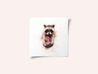 Sweet Raccoon Delight