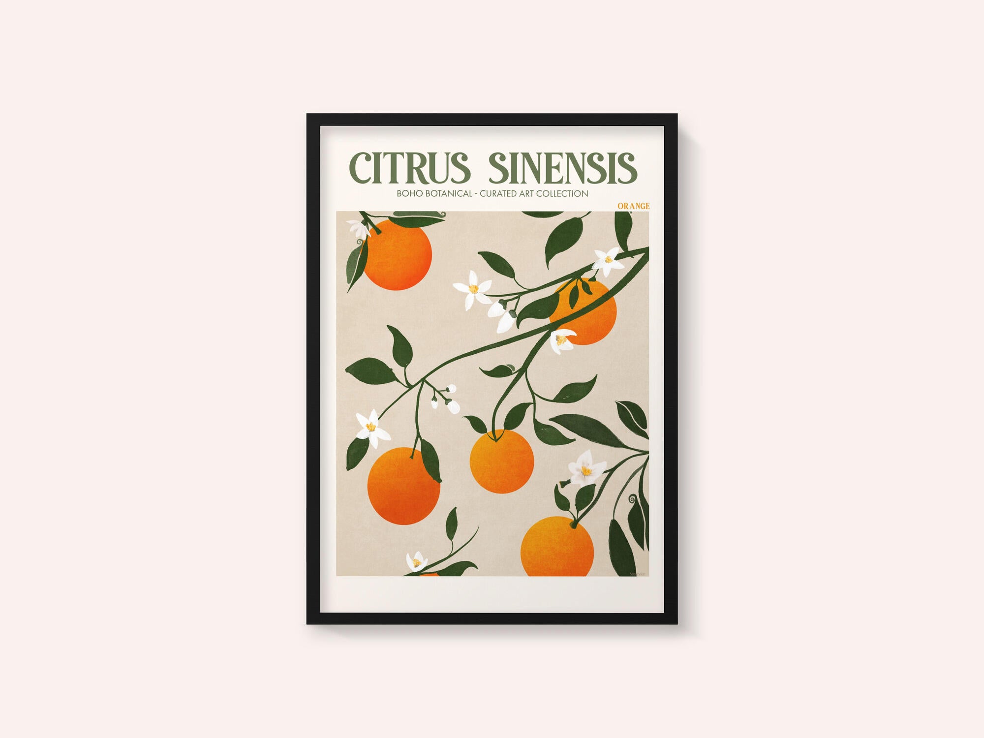 Orange Elegance