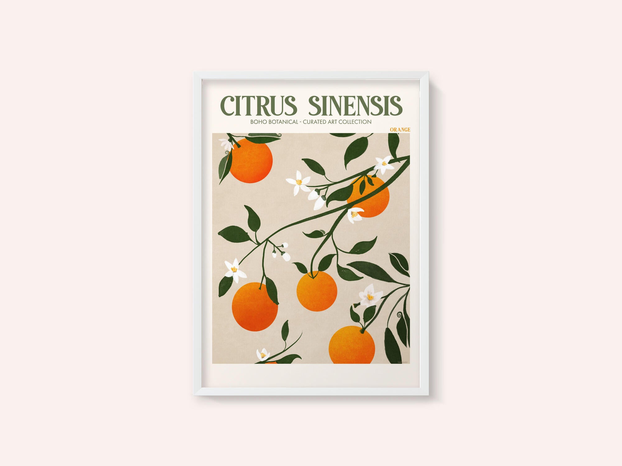 Orange Elegance