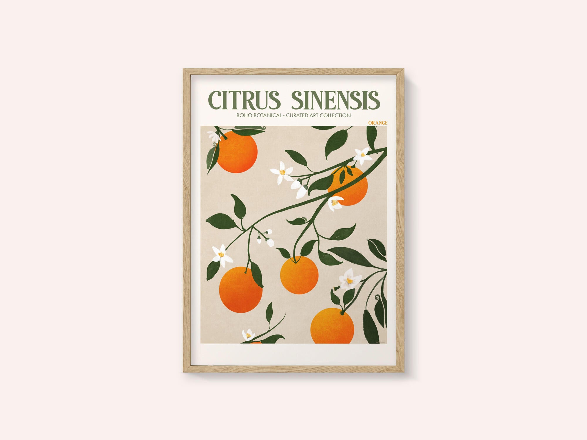 Orange Elegance