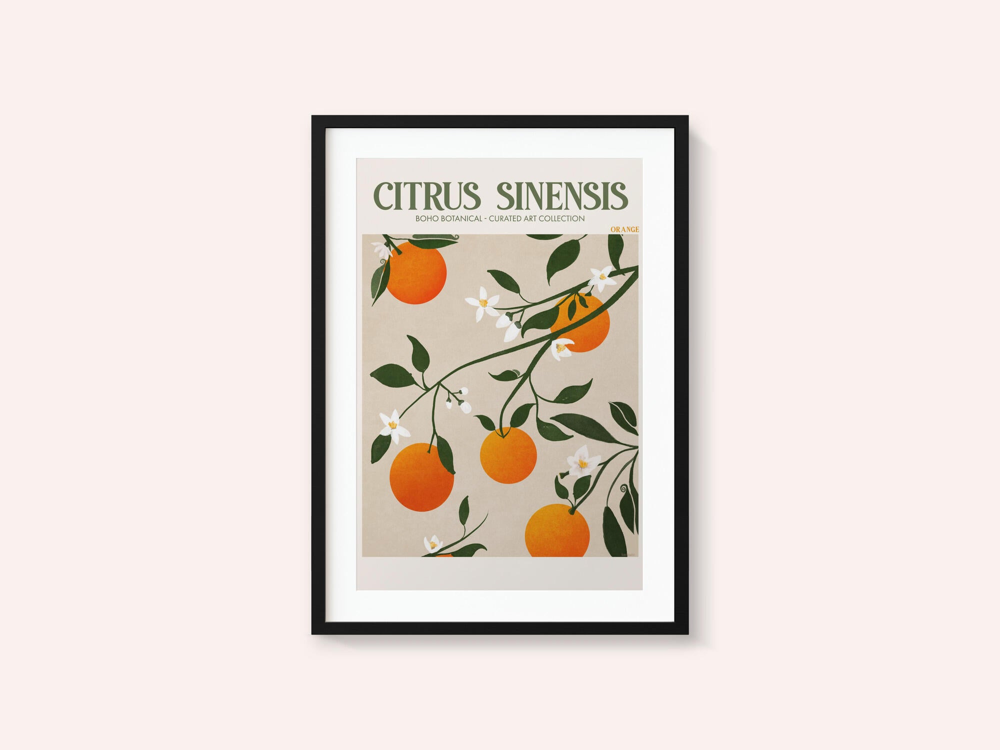 Orange Elegance