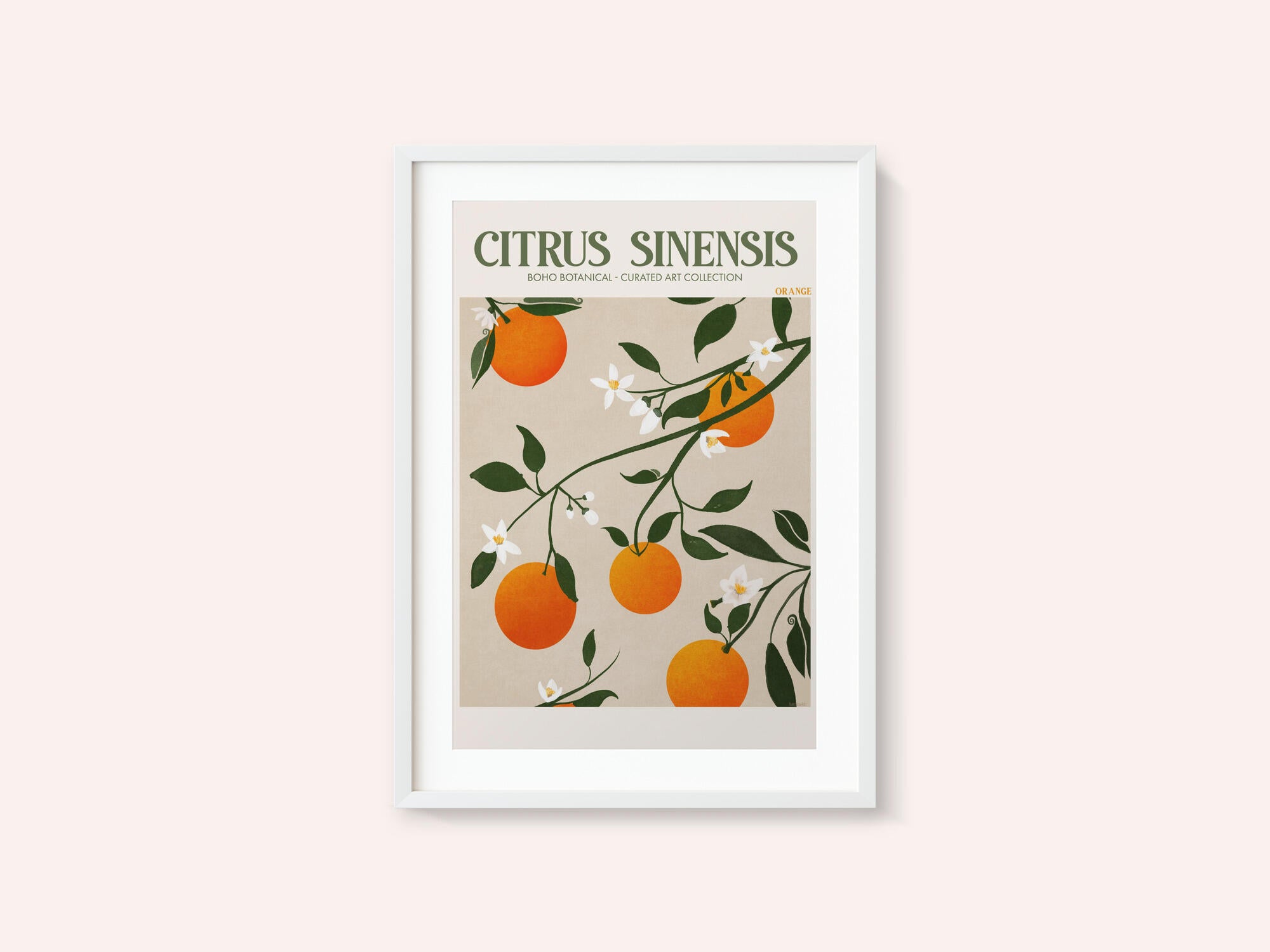 Orange Elegance