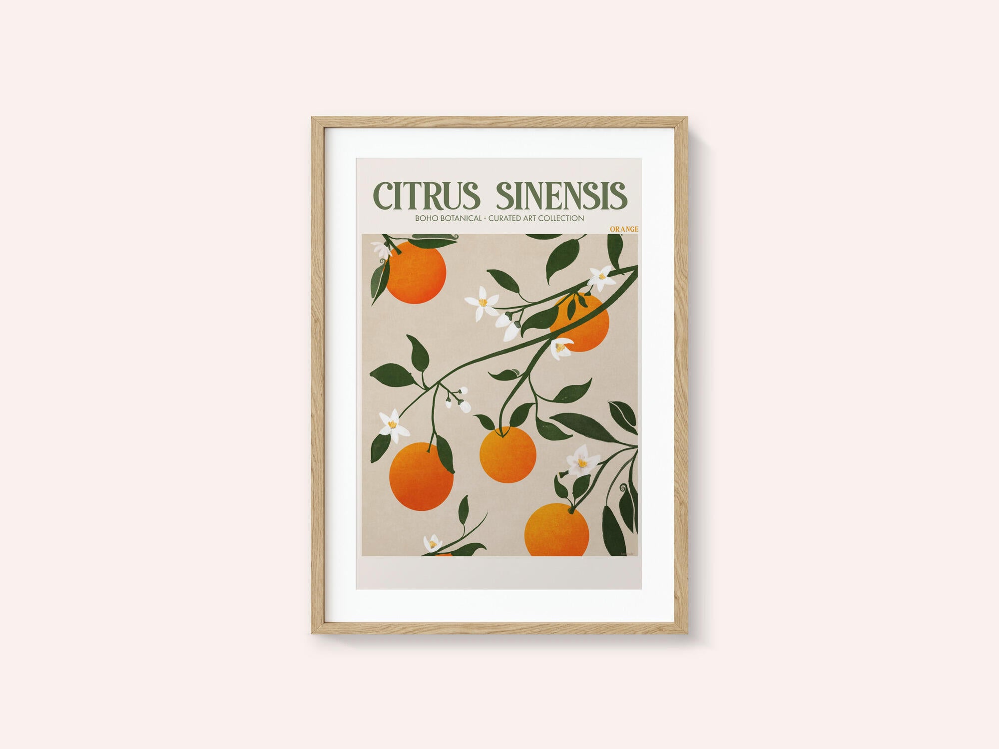 Orange Elegance