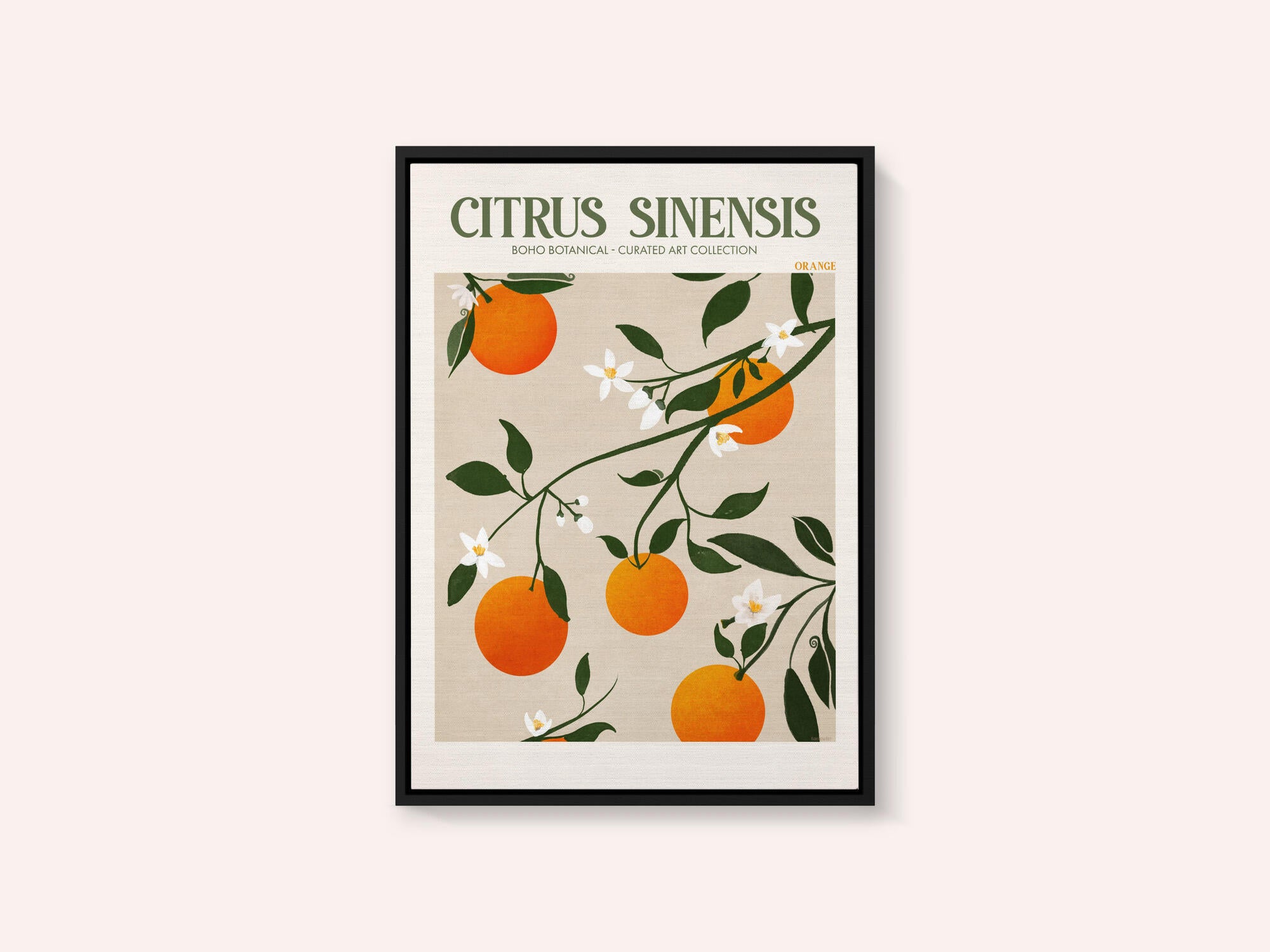 Orange Elegance