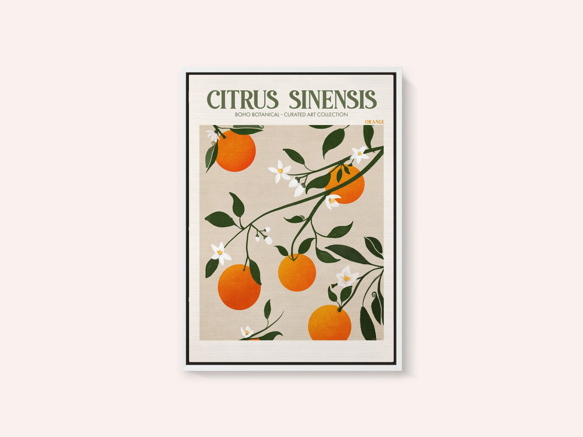 Orange Elegance