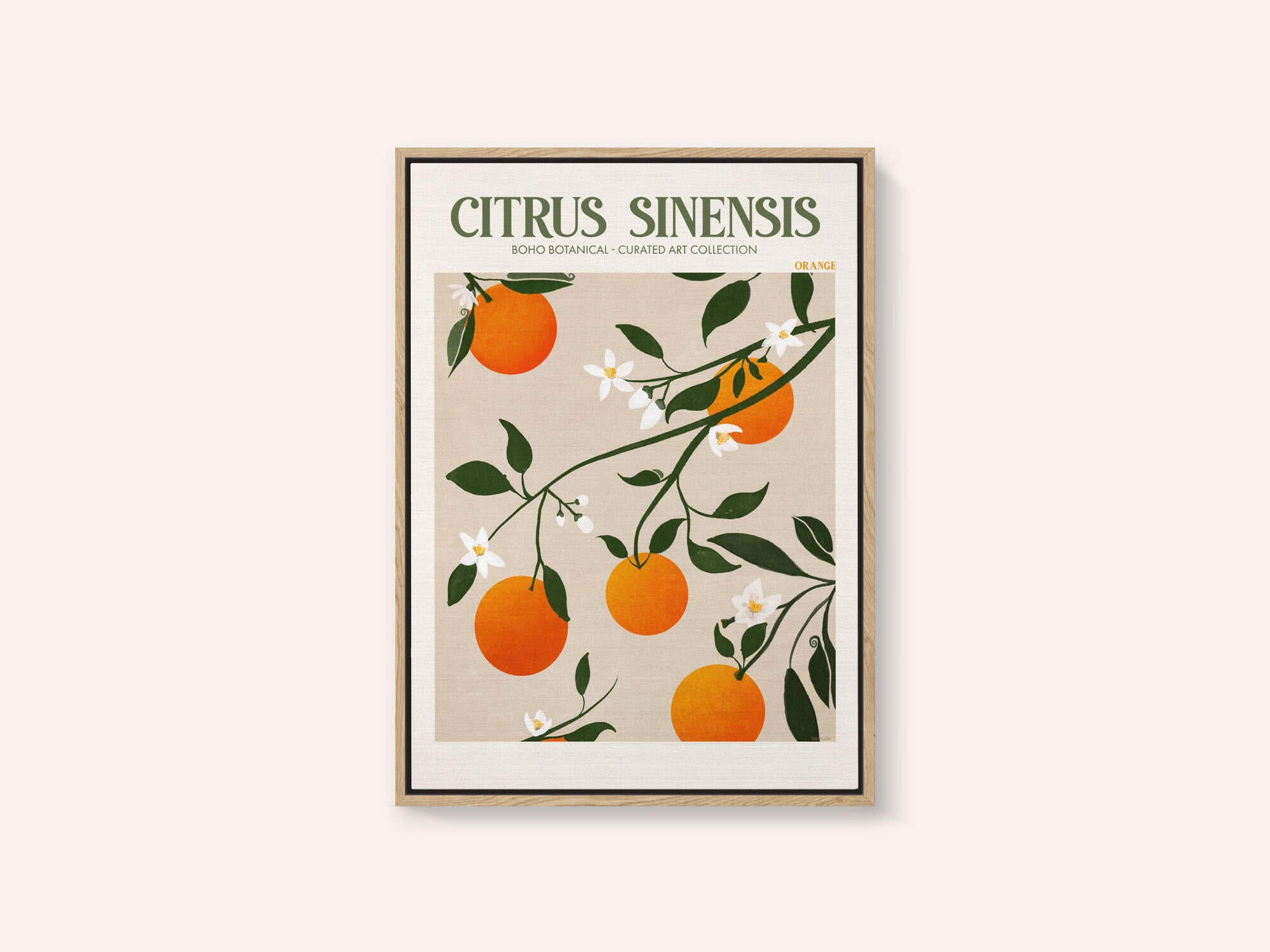 Orange Elegance