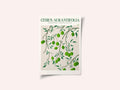 Botanical Lime Bliss