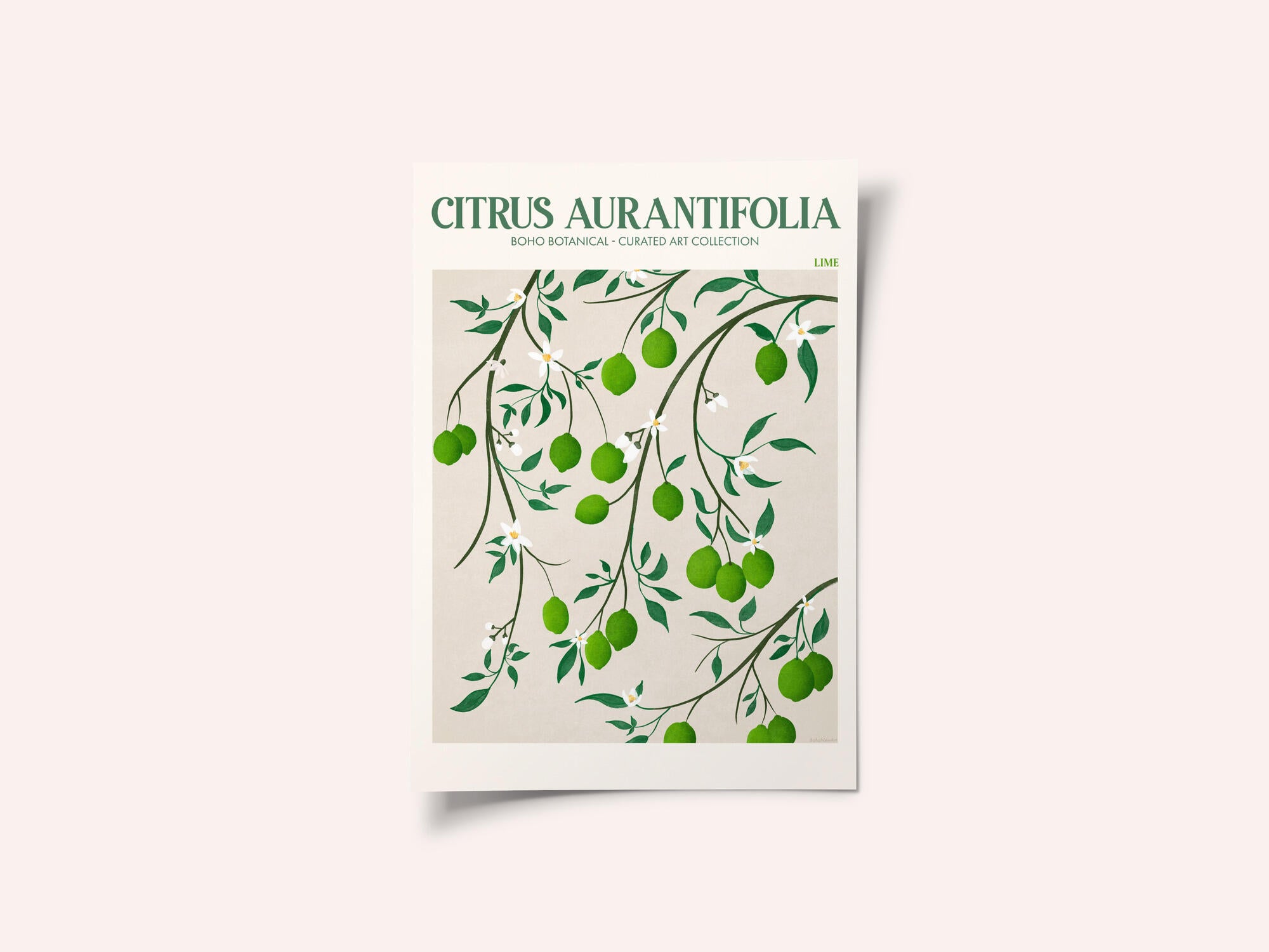 Botanical Lime Bliss