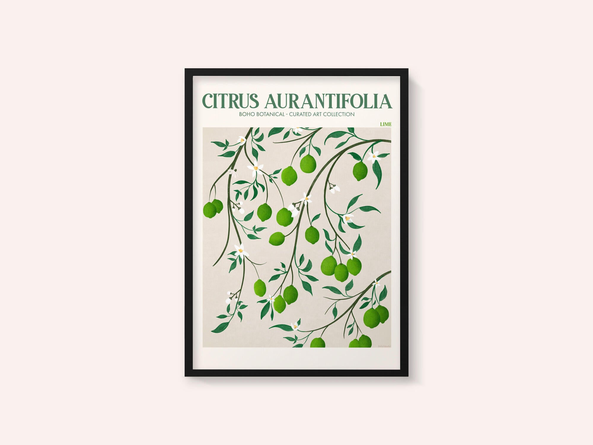 Botanical Lime Bliss