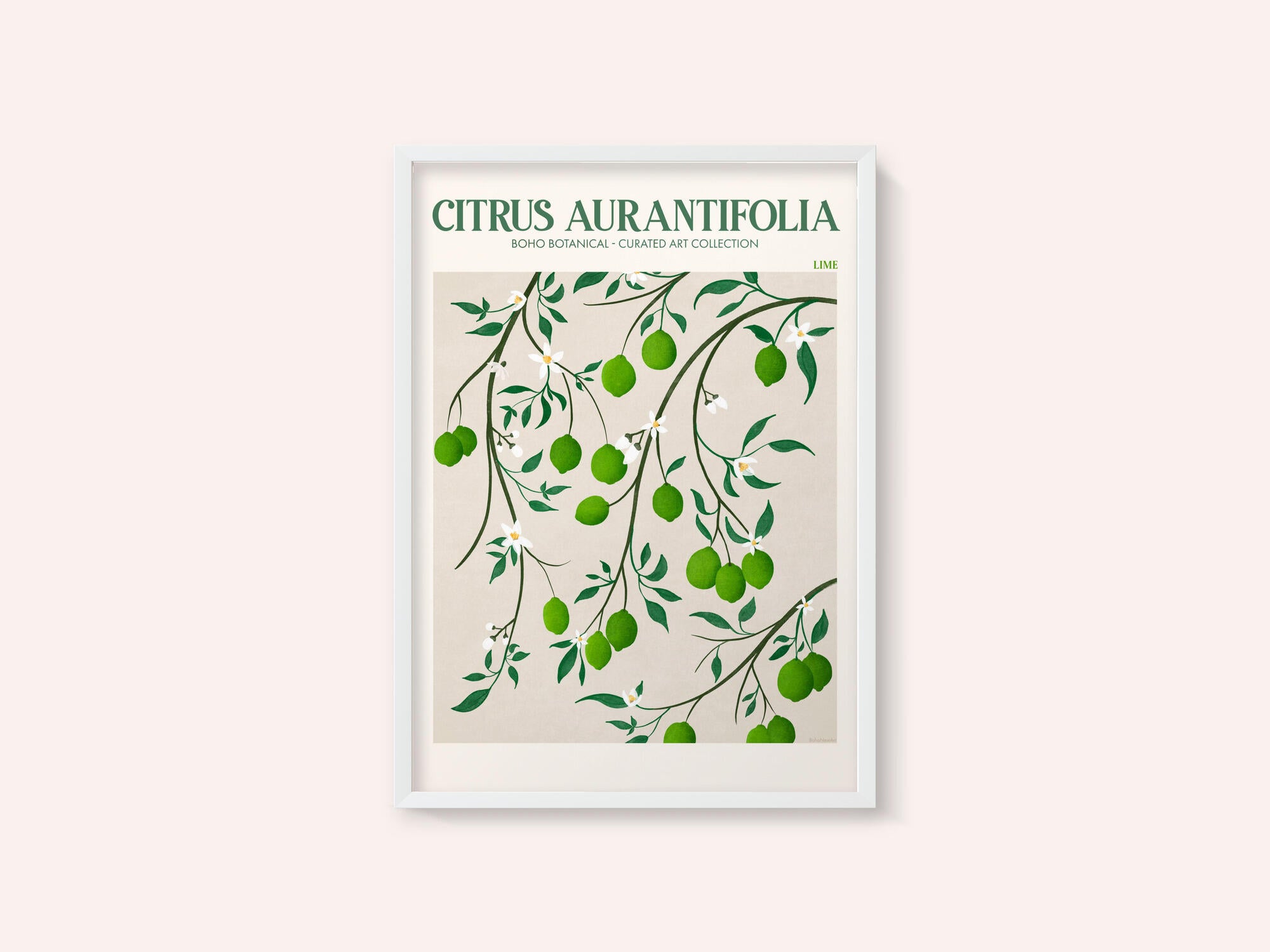 Botanical Lime Bliss