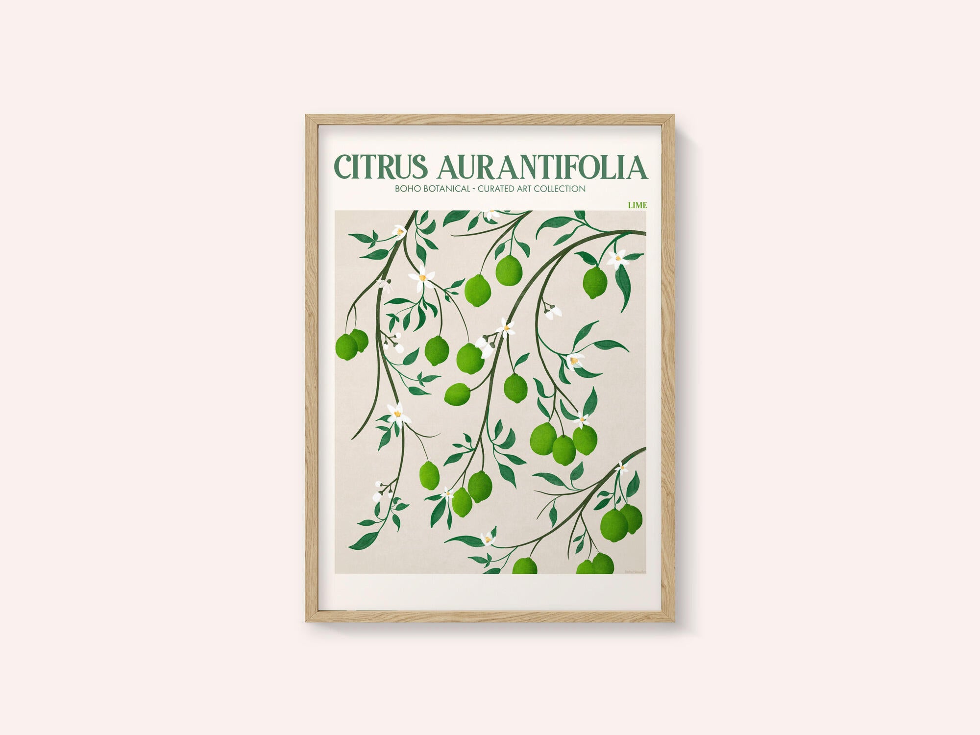 Botanical Lime Bliss