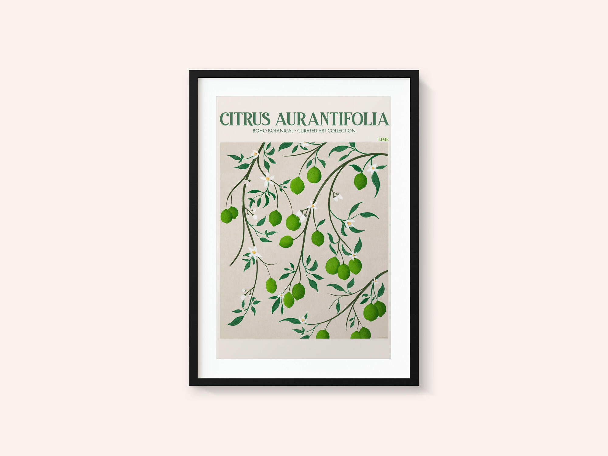 Botanical Lime Bliss