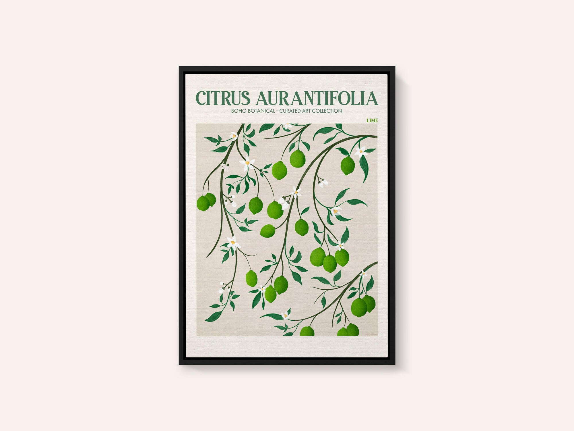 Botanical Lime Bliss