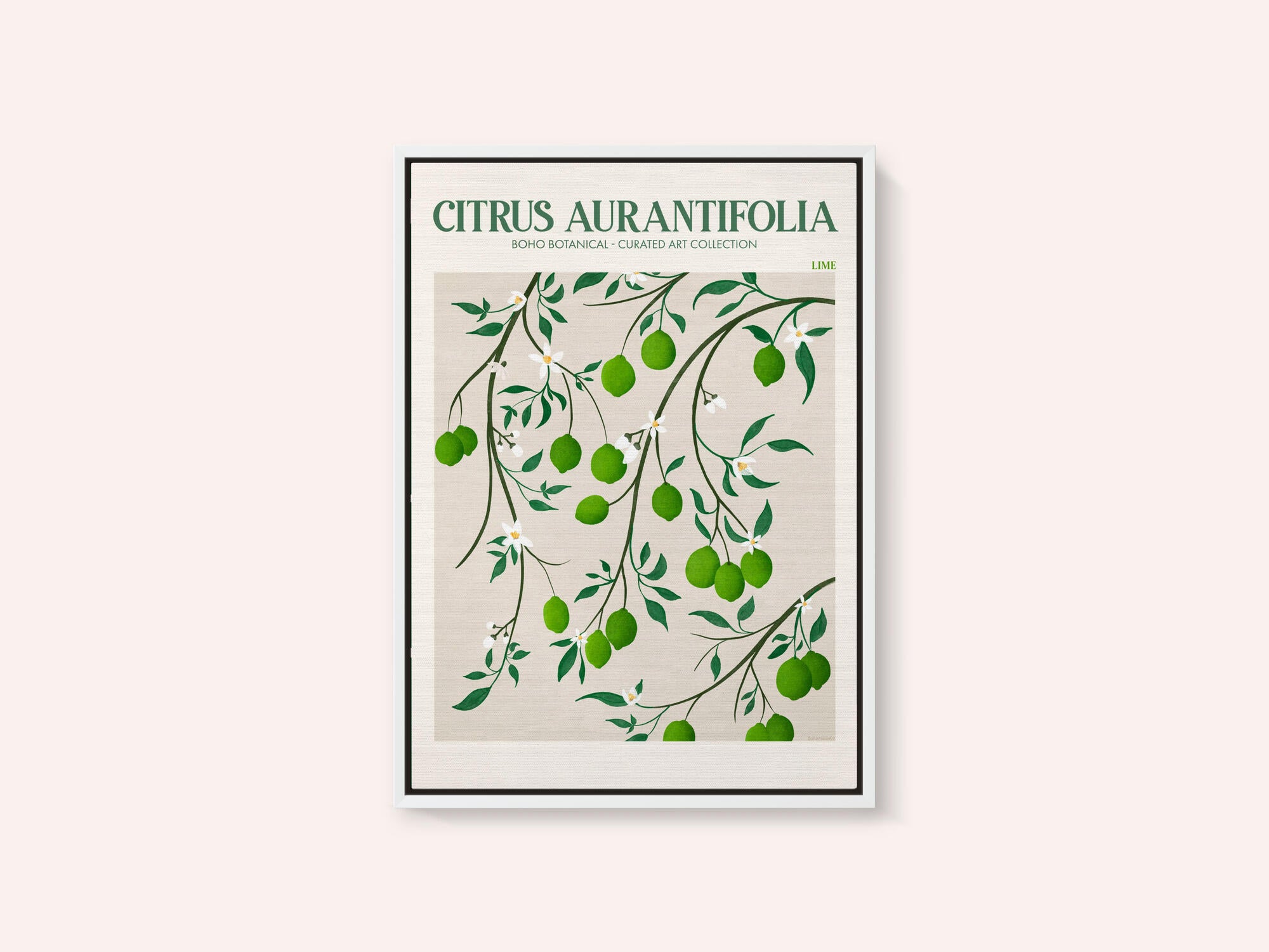 Botanical Lime Bliss