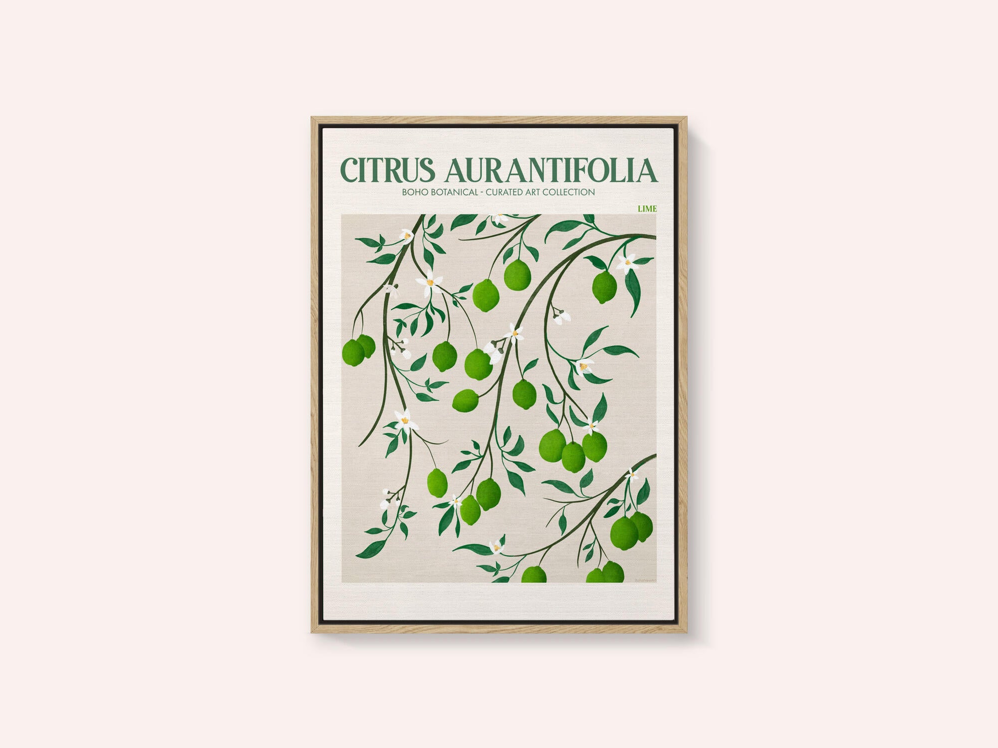 Botanical Lime Bliss