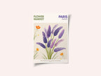 Lavender Blooms