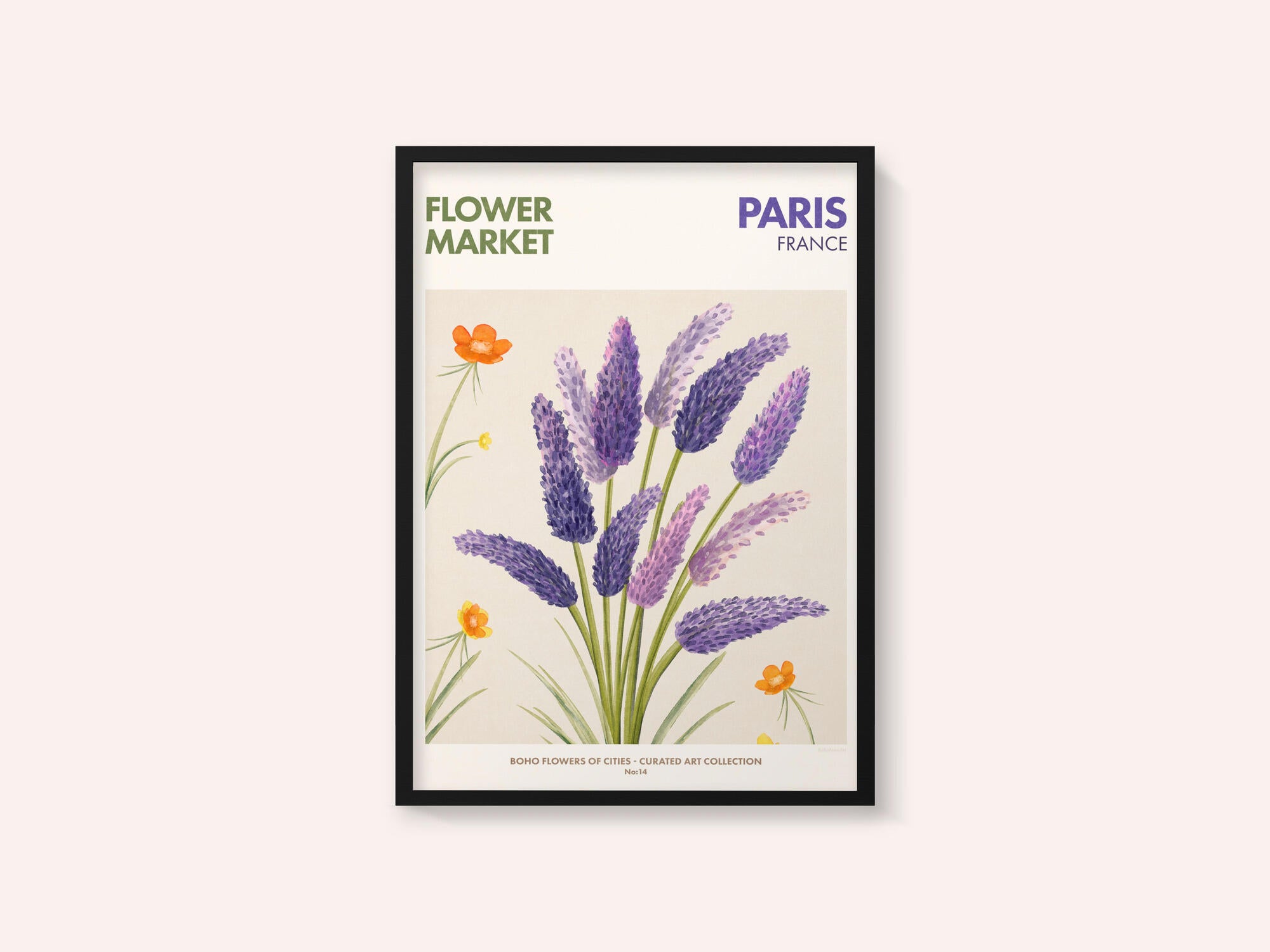 Lavender Blooms