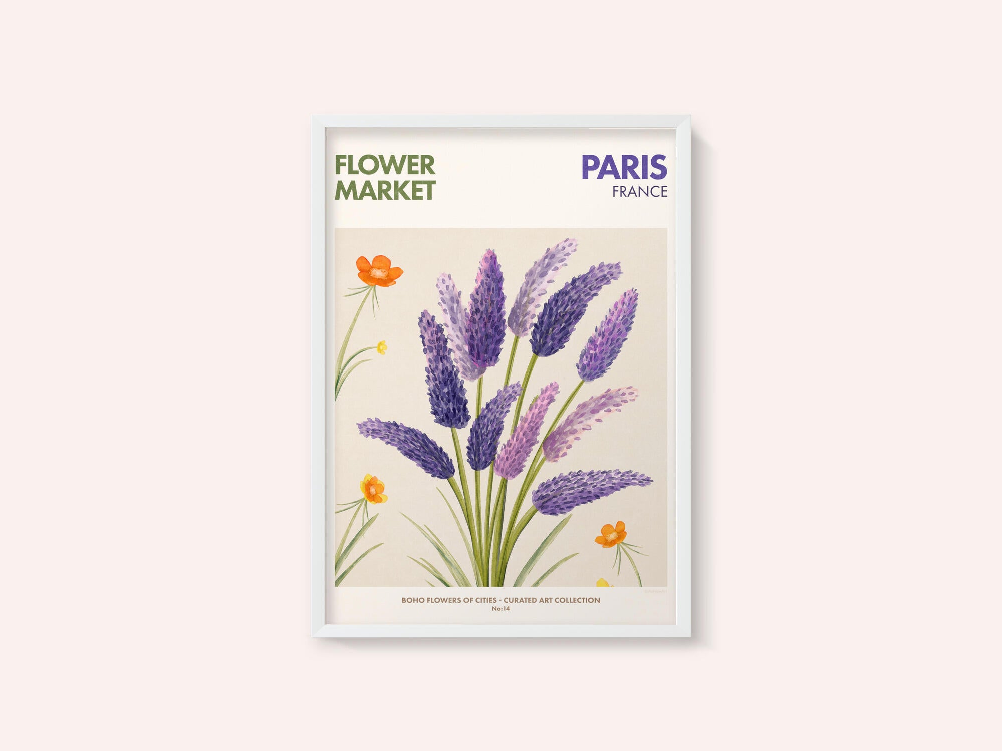 Lavender Blooms