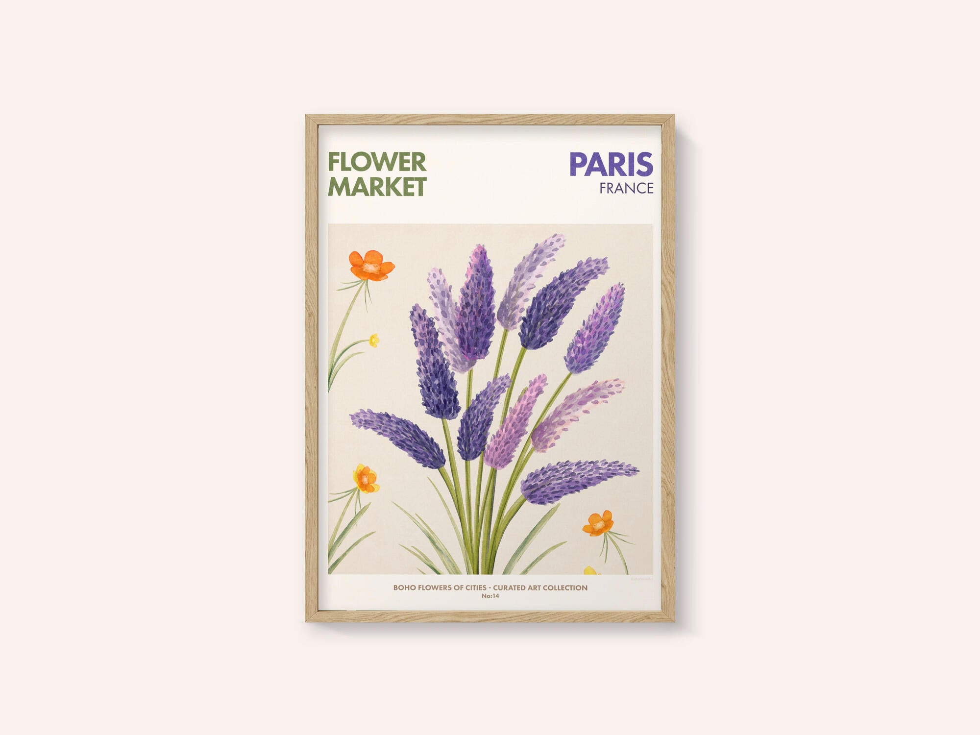 Lavender Blooms