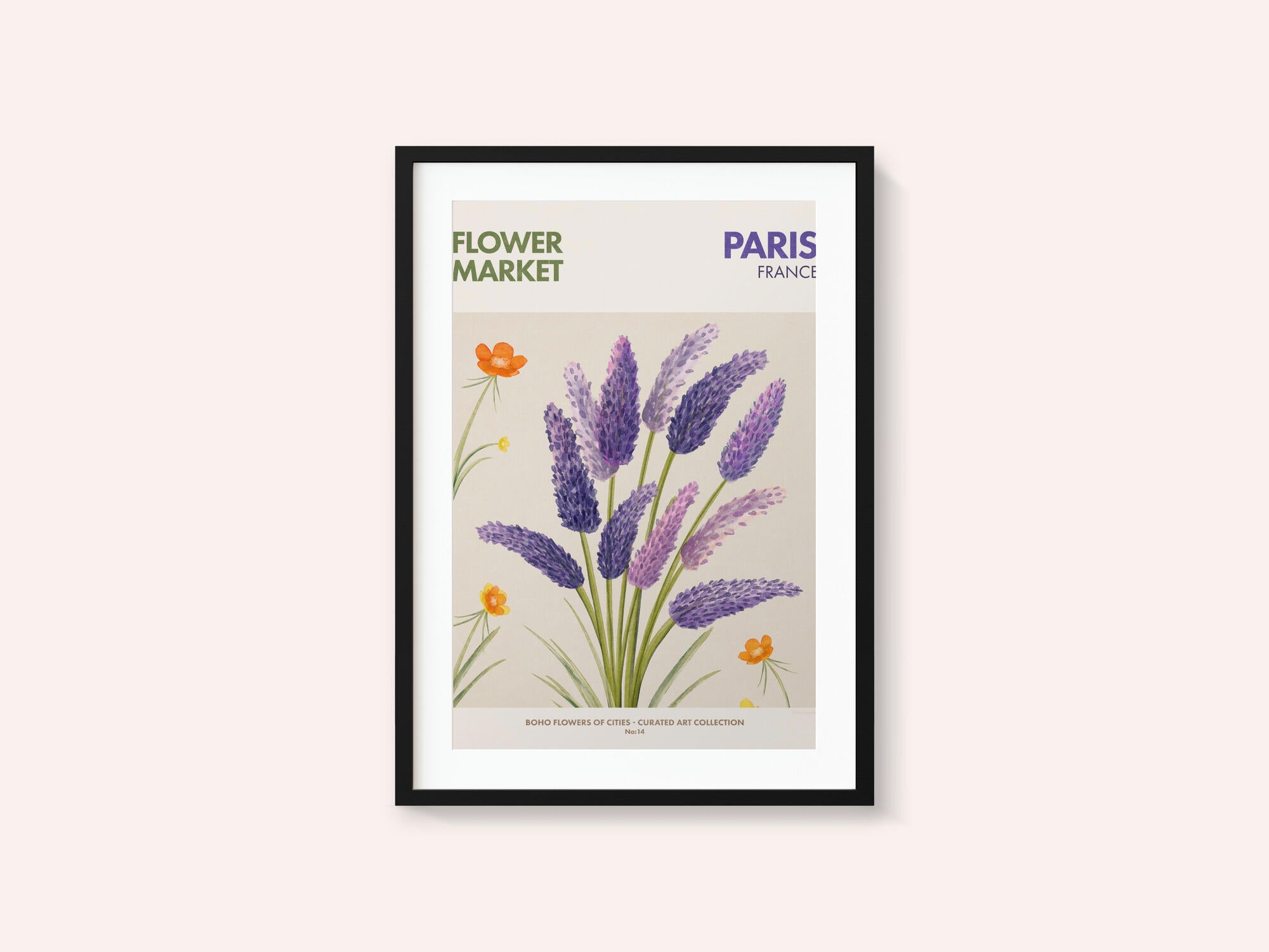 Lavender Blooms