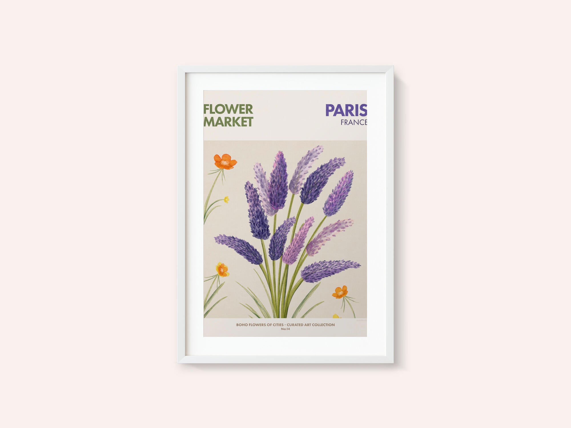 Lavender Blooms