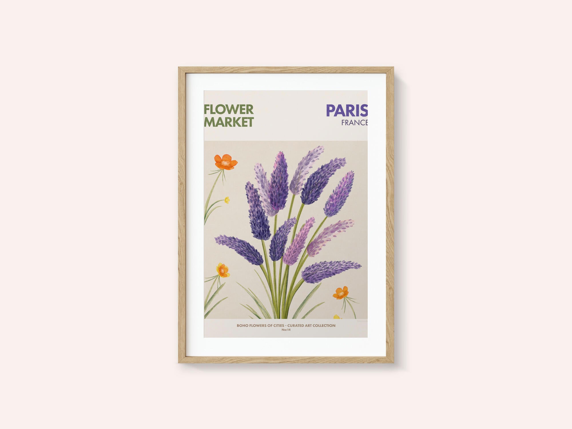 Lavender Blooms