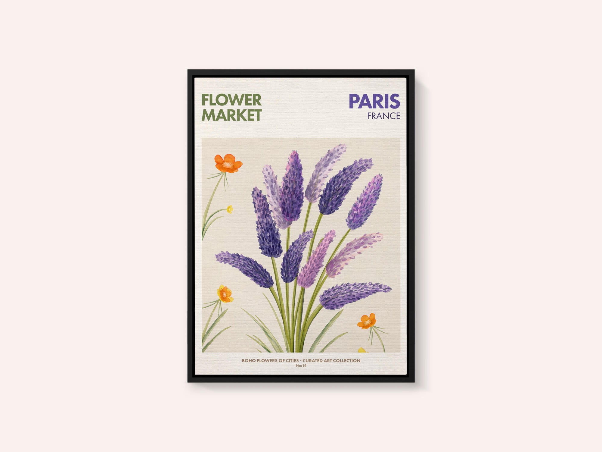 Lavender Blooms