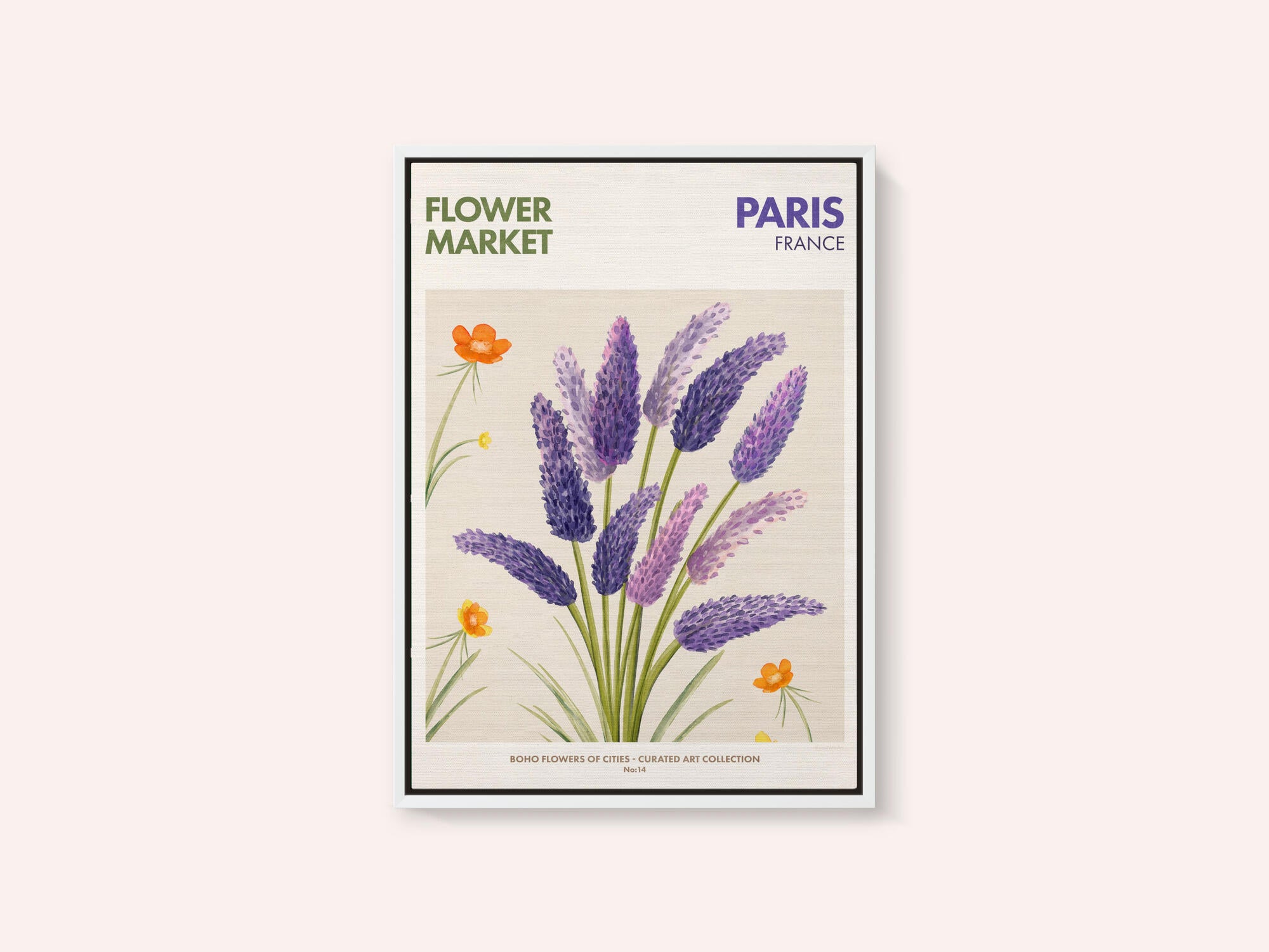 Lavender Blooms