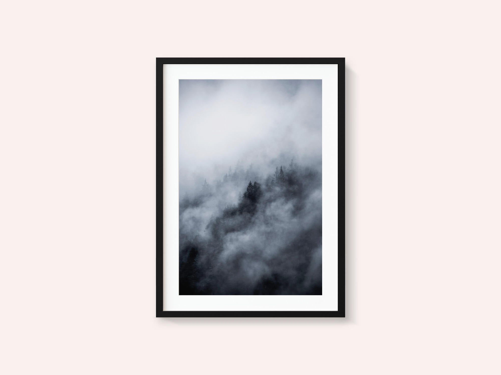 Foggy Morning 3