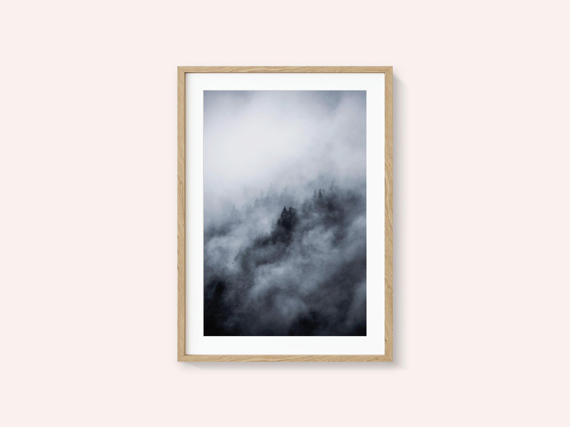 Foggy Morning 3