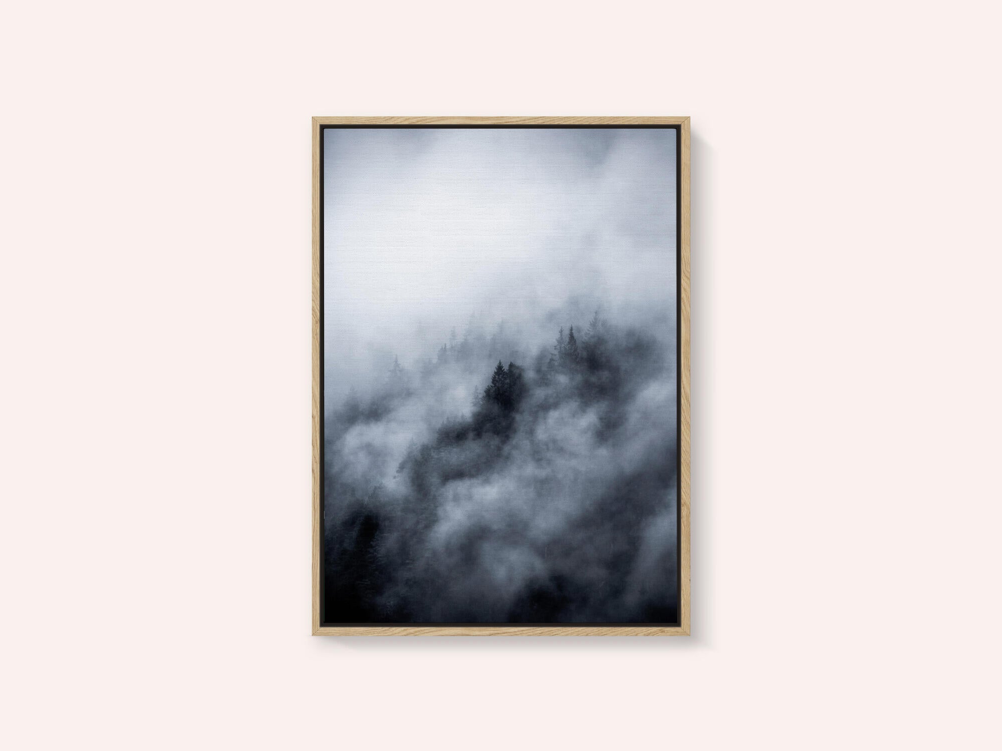 Foggy Morning 3