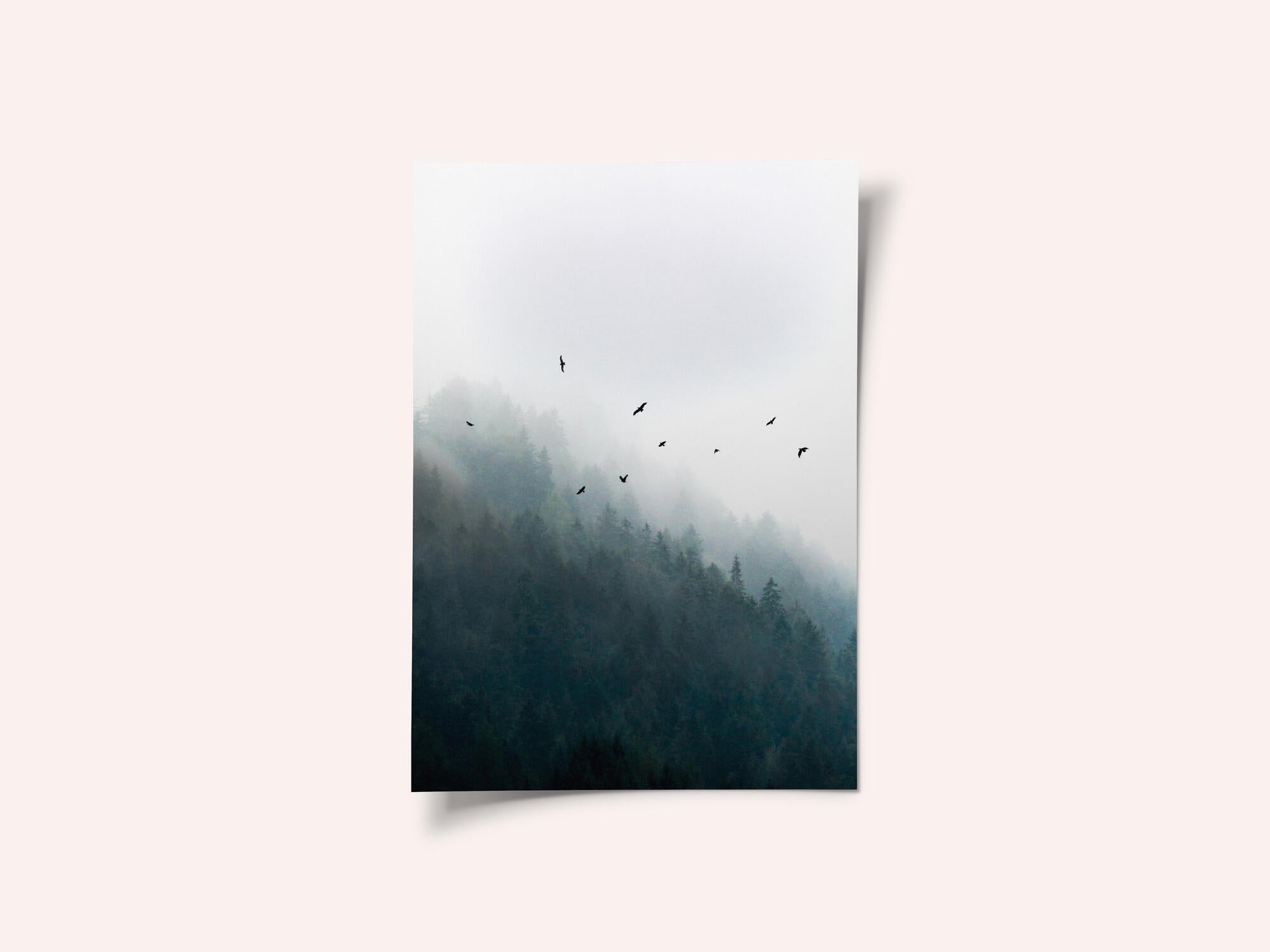 Foggy Morning 4