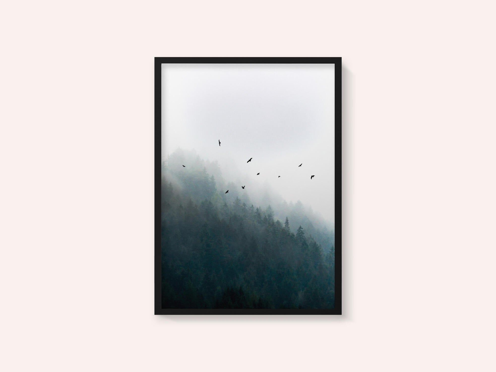 Foggy Morning 4