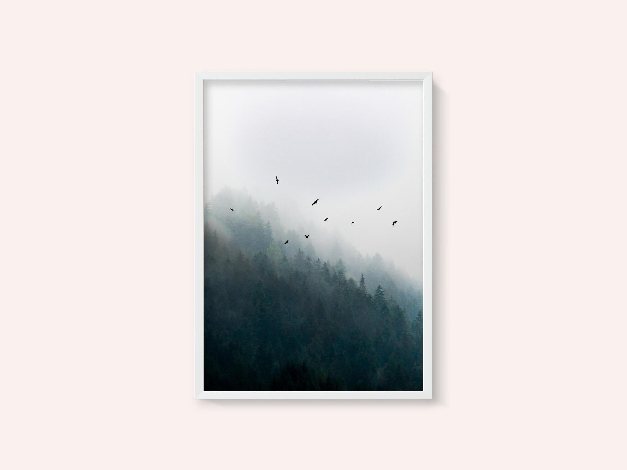 Foggy Morning 4