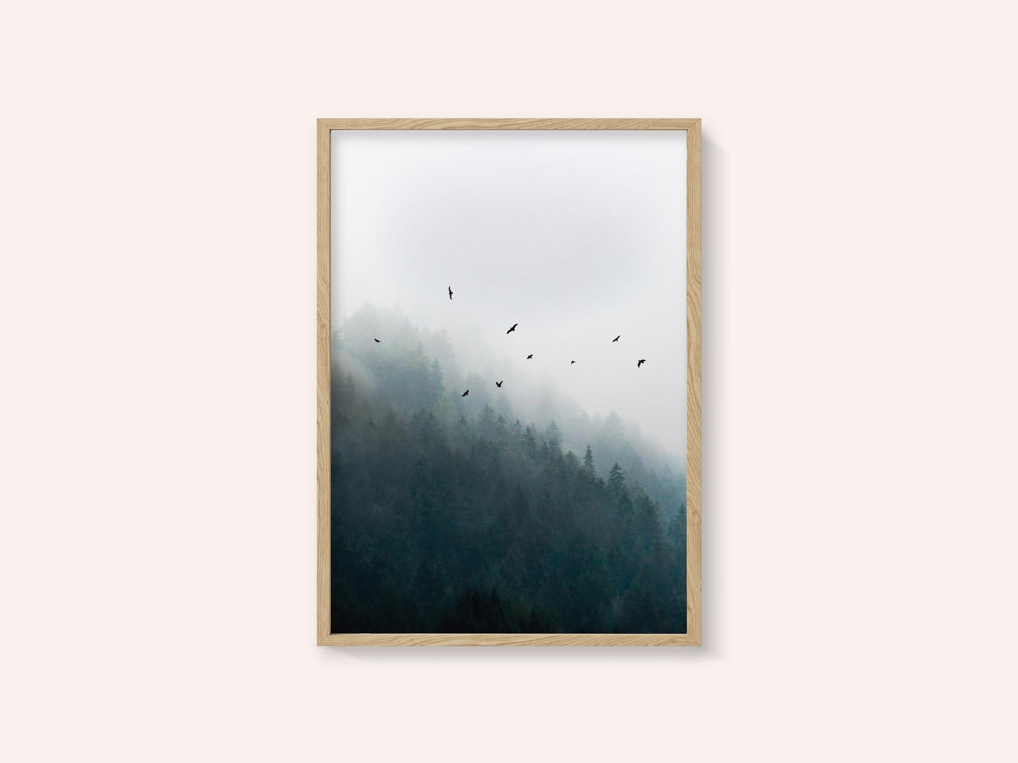 Foggy Morning 4