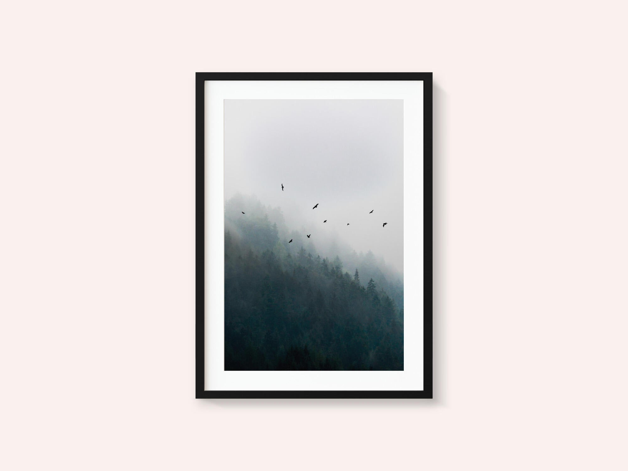 Foggy Morning 4