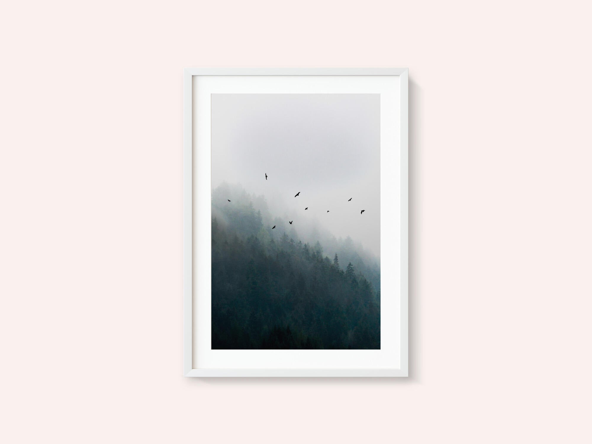 Foggy Morning 4