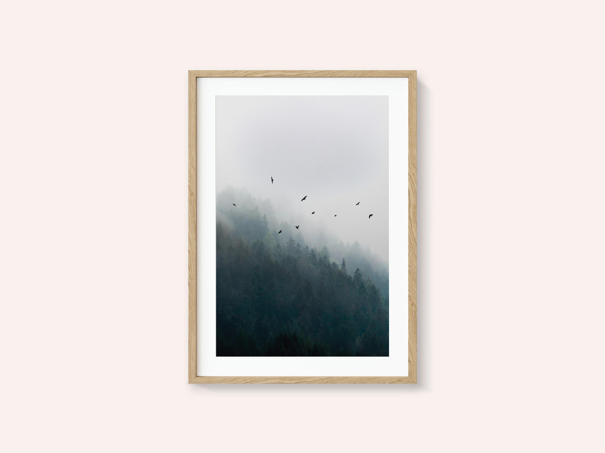 Foggy Morning 4