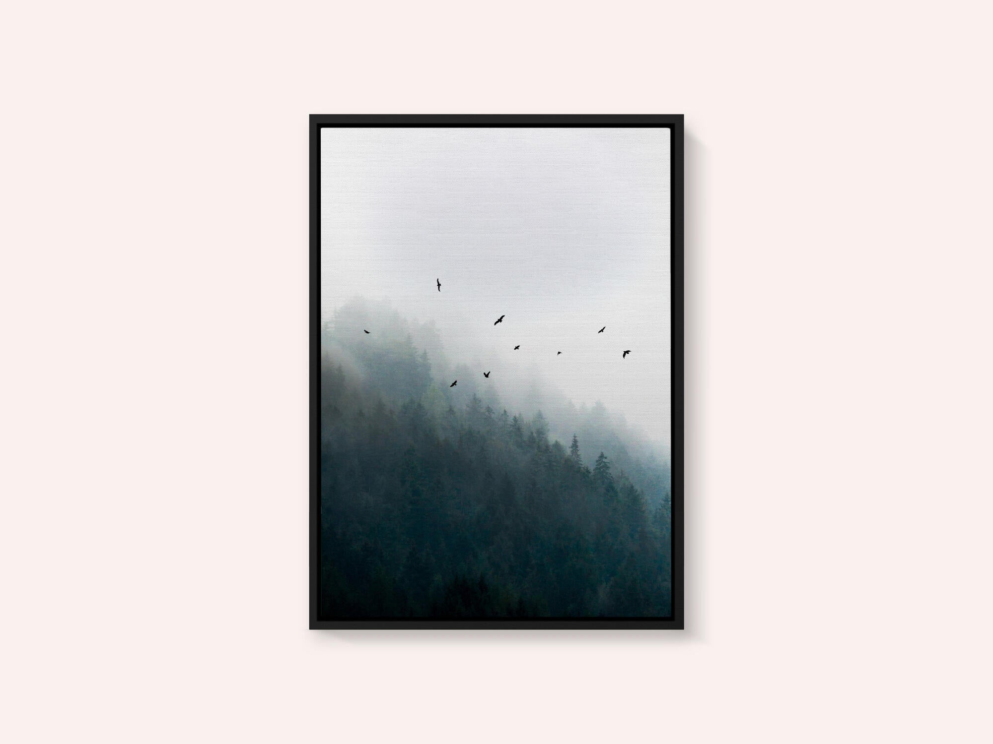 Foggy Morning 4