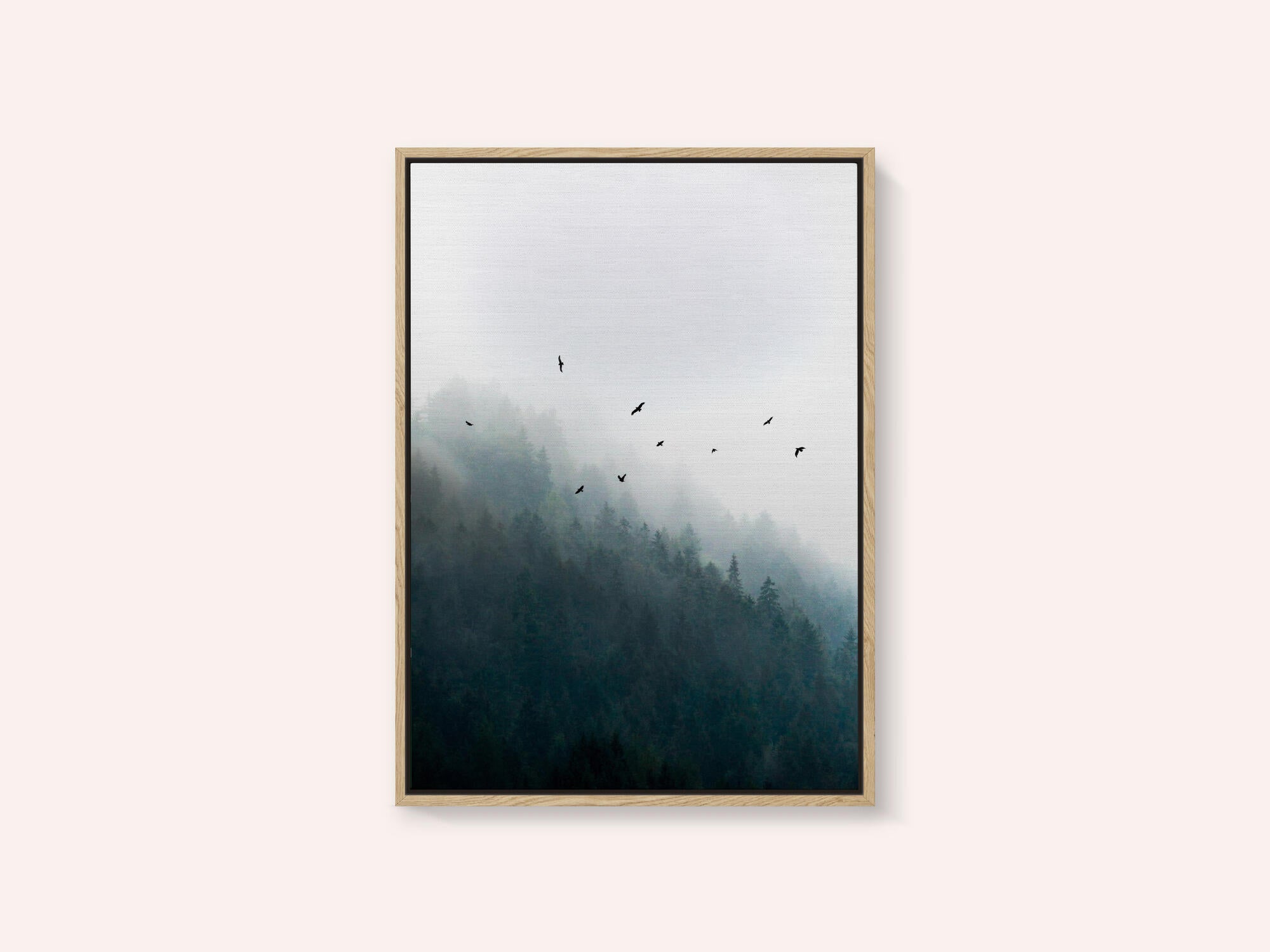 Foggy Morning 4