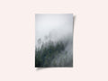Foggy Morning 2