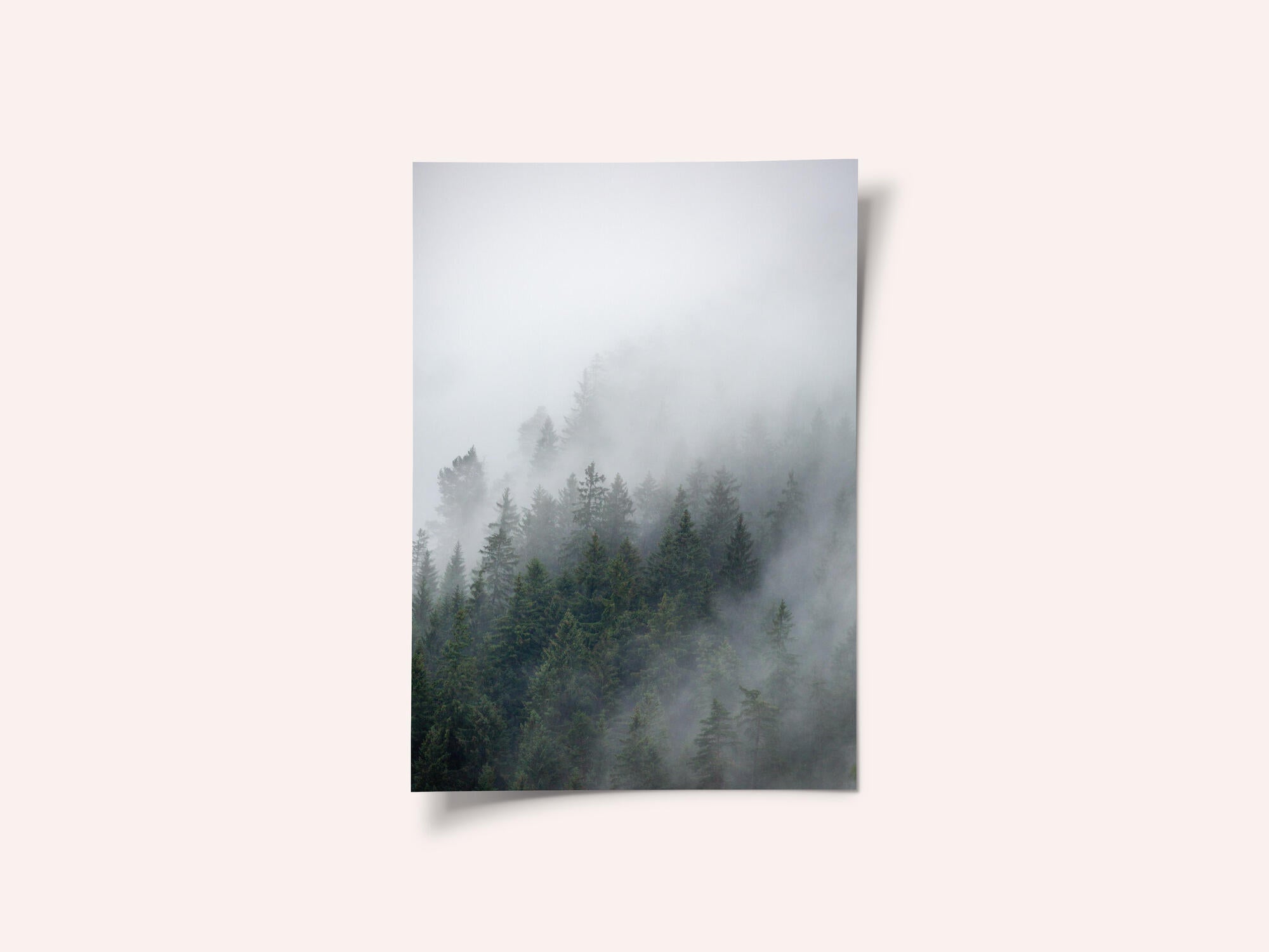 Foggy Morning 2
