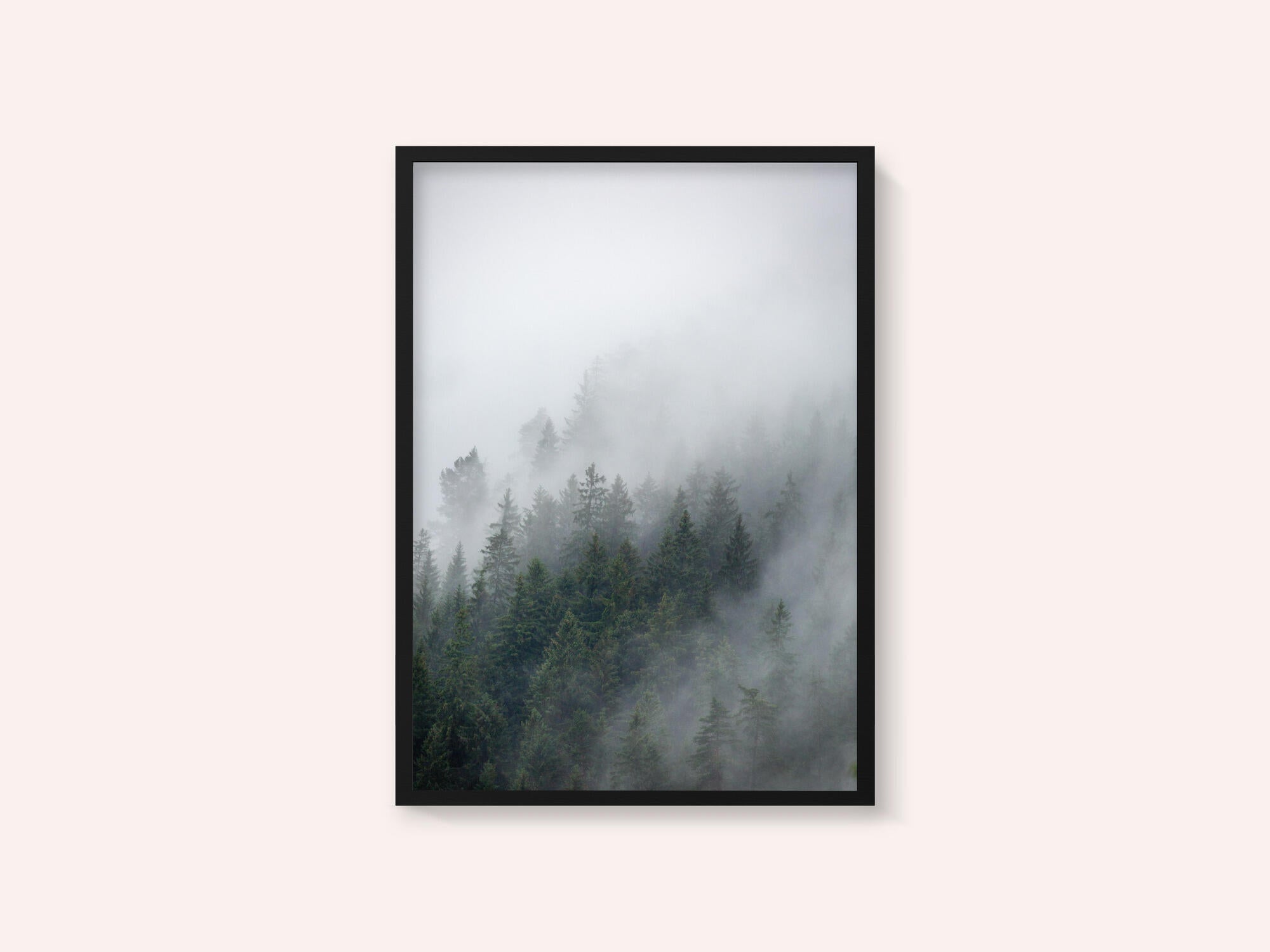 Foggy Morning 2