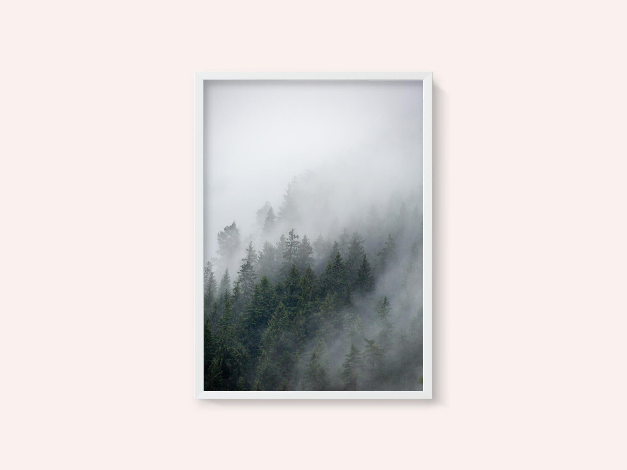 Foggy Morning 2