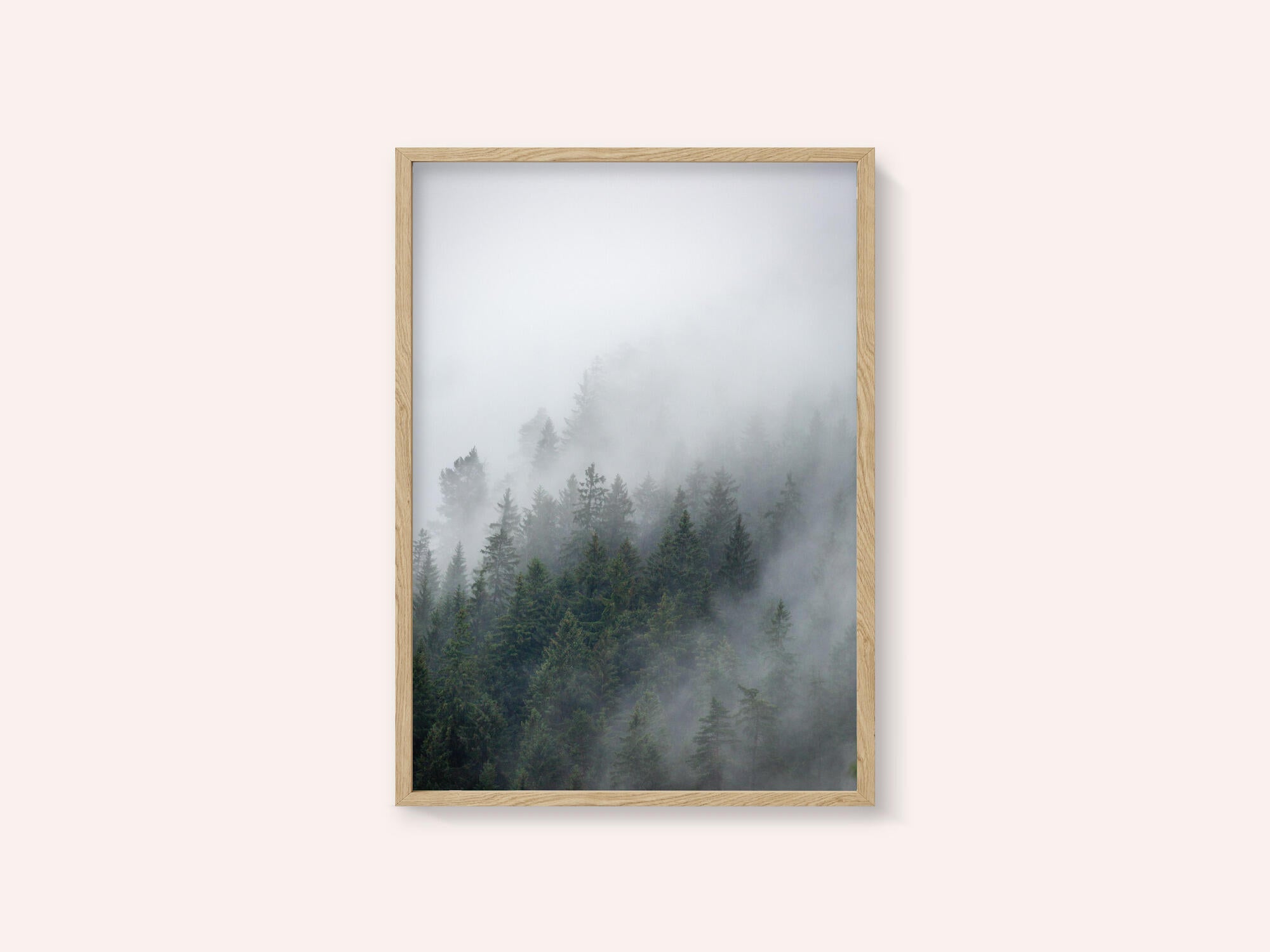 Foggy Morning 2