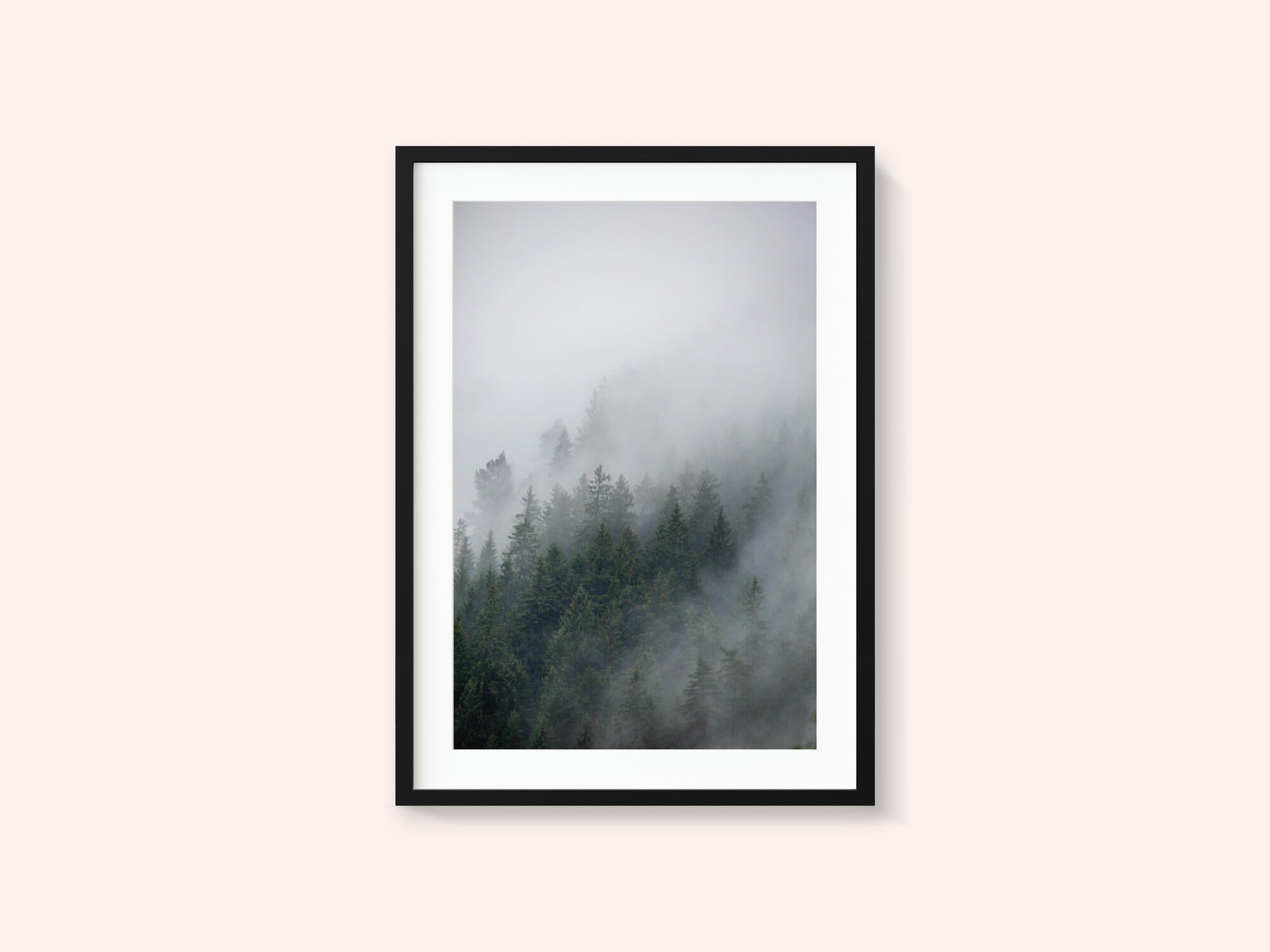 Foggy Morning 2