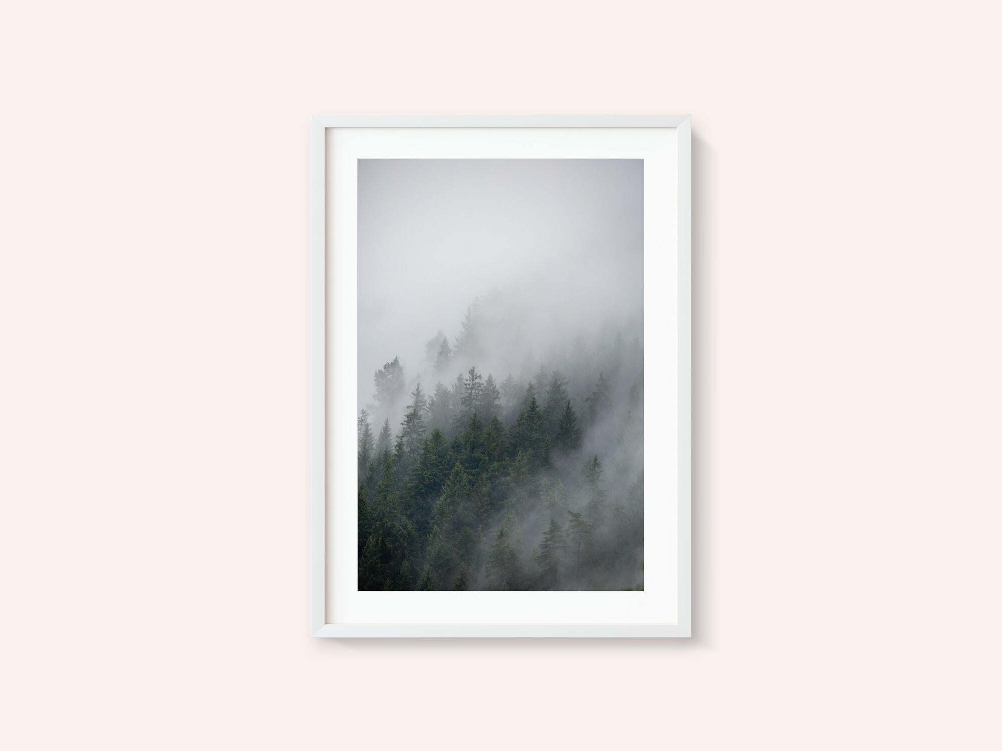 Foggy Morning 2