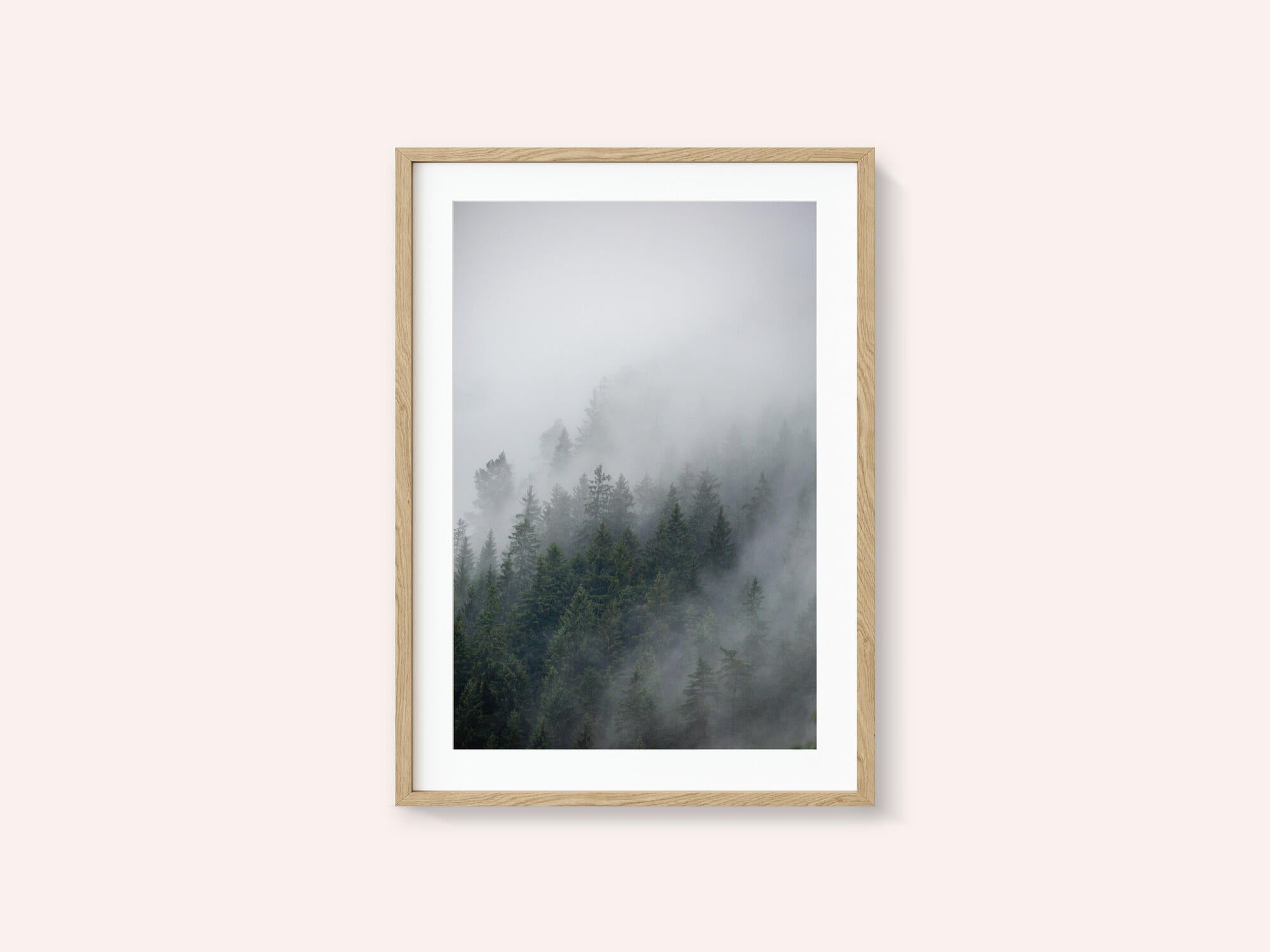 Foggy Morning 2