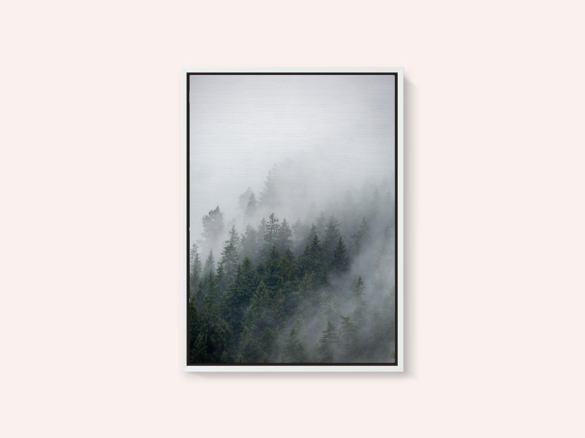 Foggy Morning 2