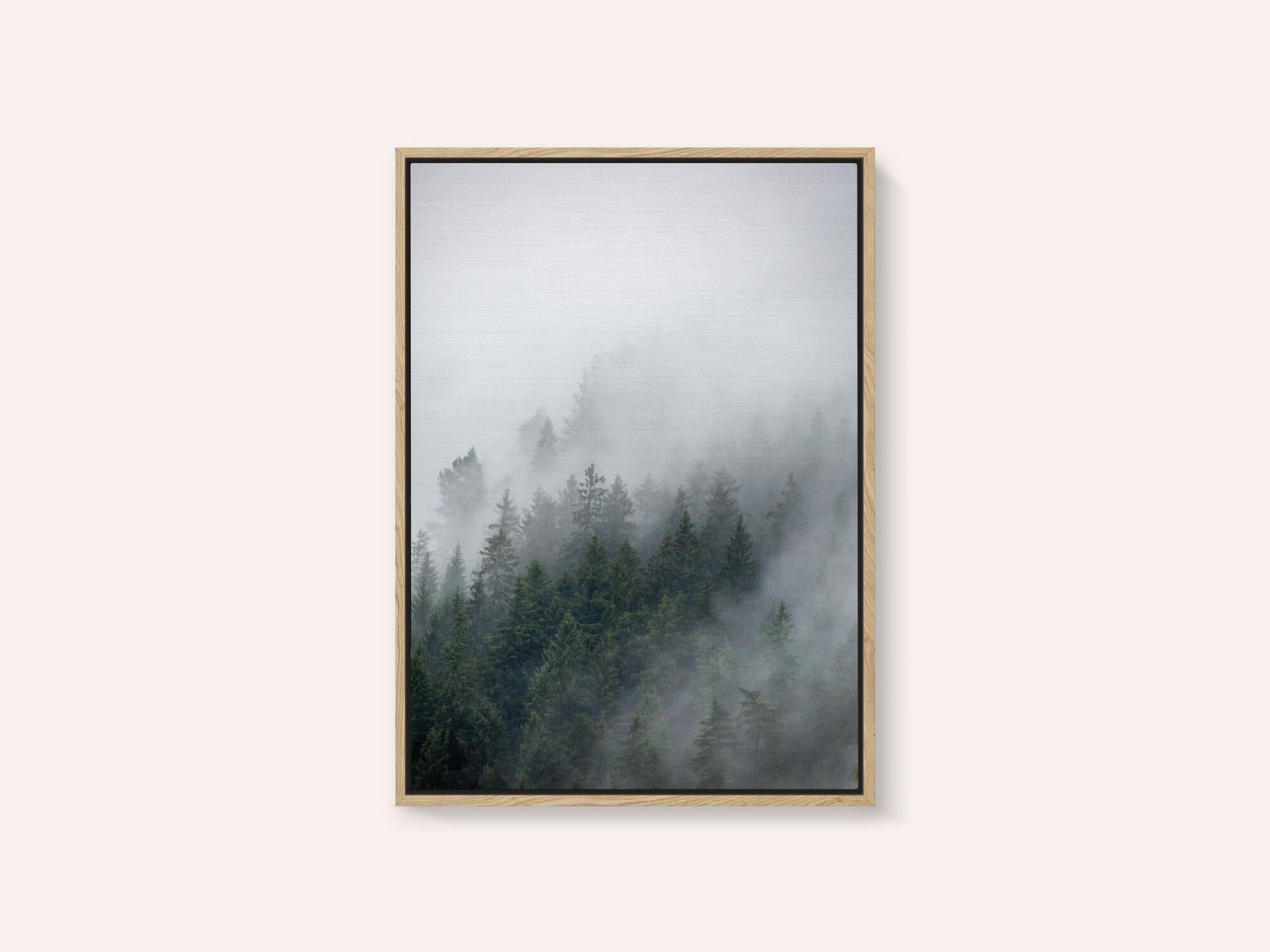 Foggy Morning 2